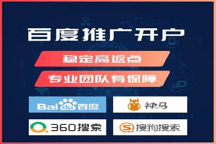 某品牌通过百度广告实现快速增长的案例